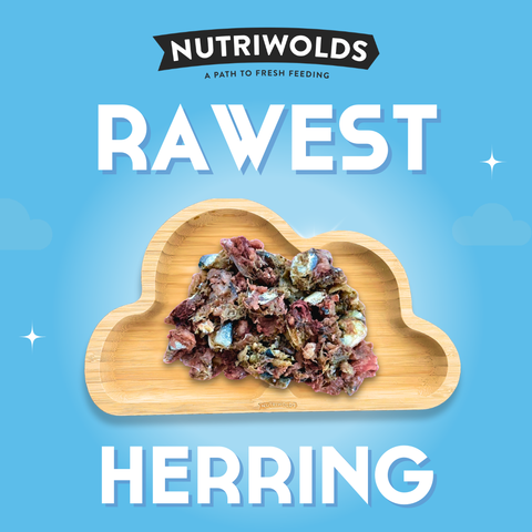 NEW! Rawest Herring Single Protein