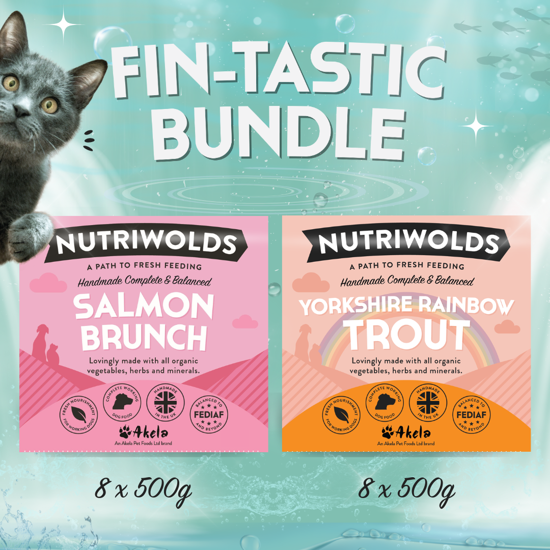 NutriWolds Fin-Tastic Bundle Salmon and Trout